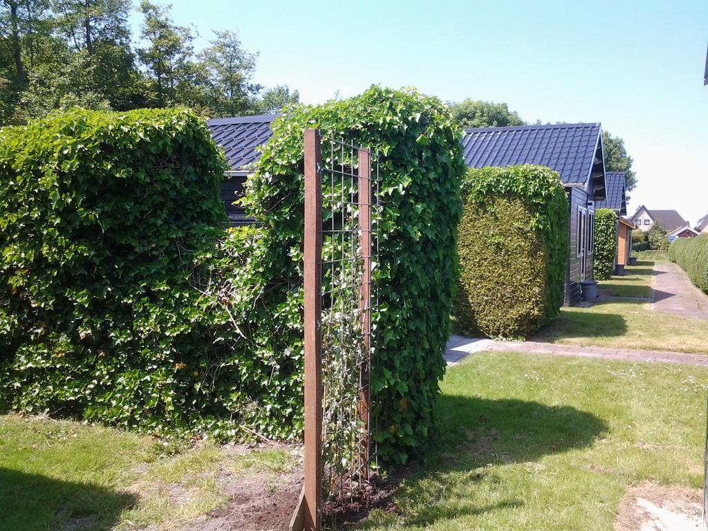 Bed & Breakfast Meinsma *